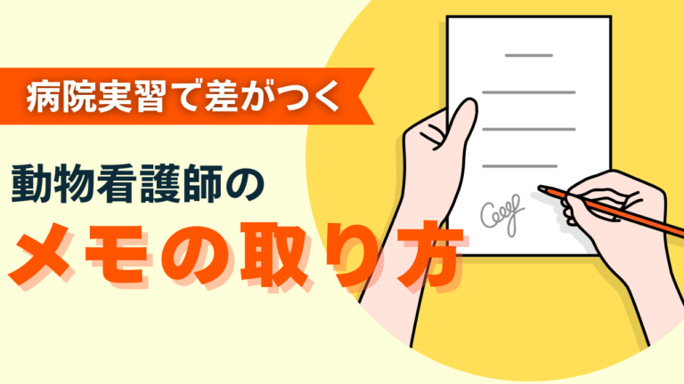 動物看護師のメモの取り方完全ガイド｜実習で差がつく3つのコツ