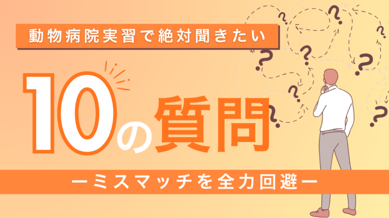 動物病院実習で必ず確認したい質問10選