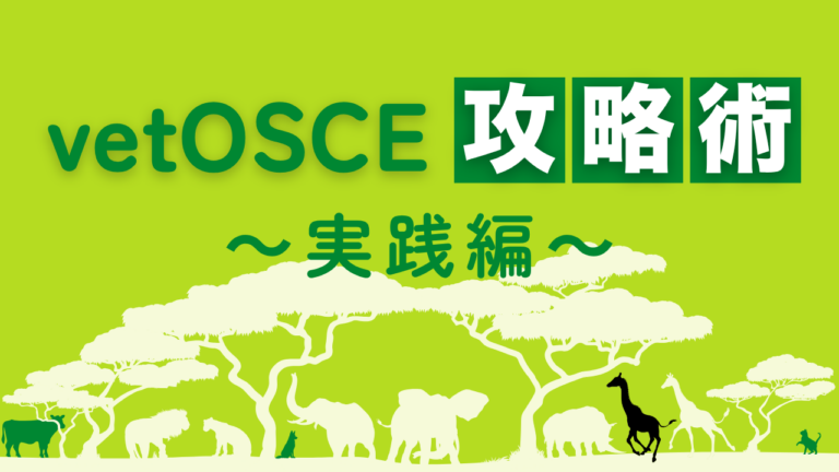 【獣医学生必見】vetOSCE（オスキー）直前ガイド｜実践編