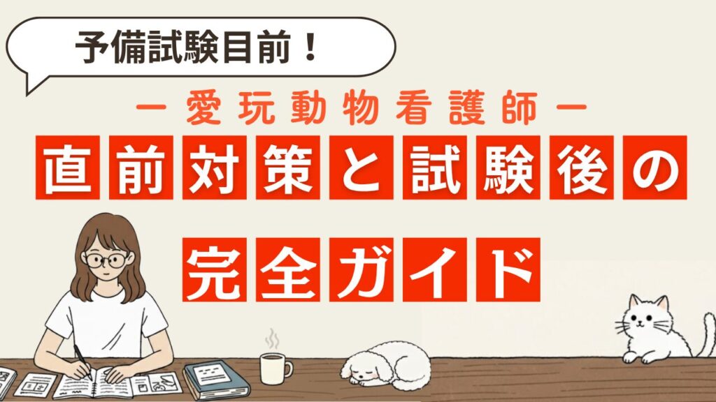 【愛玩動物看護師予備試験目前!】直前対策と試験後の完全ガイド