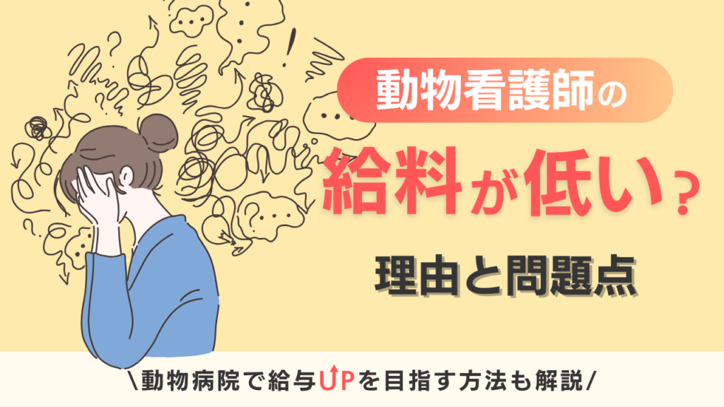 動物看護師の給料が低い　原因と問題点　給与アップのポイントも解説