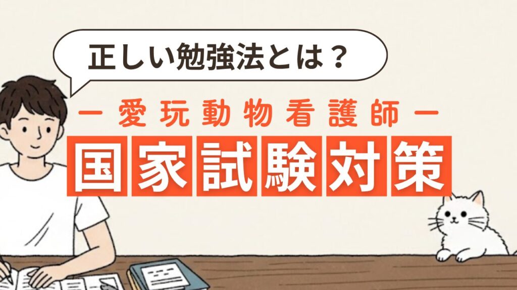 愛玩動物看護師の国家試験、どう勉強するのが正解?