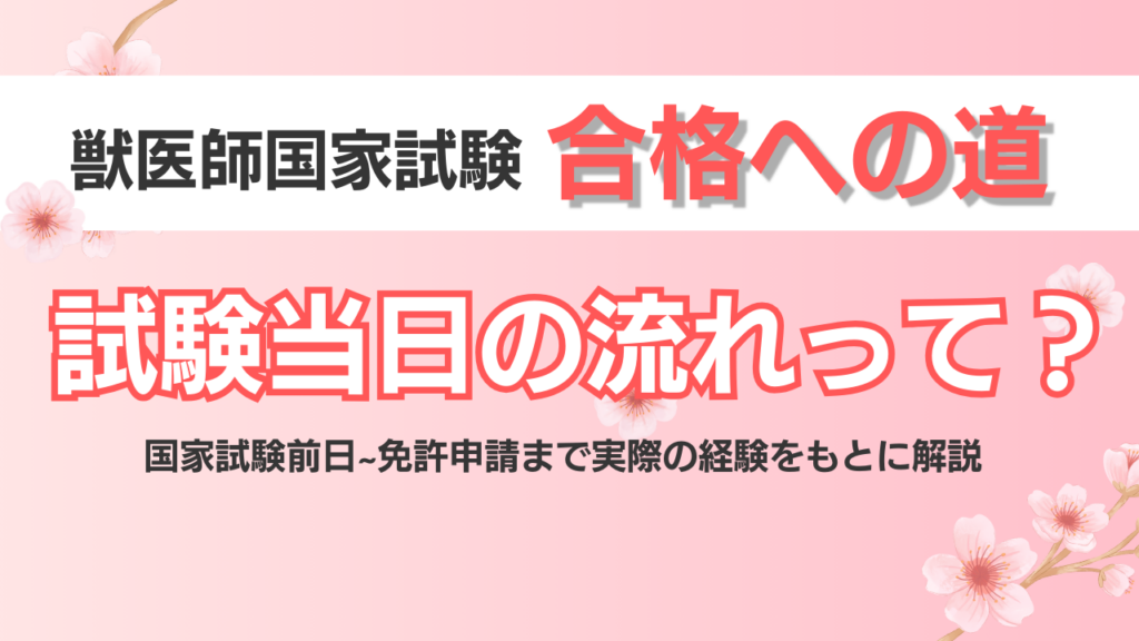 獣医師国家試験当日の流れ完全ガイド|合格者が教える前日〜試験後の過ごし方