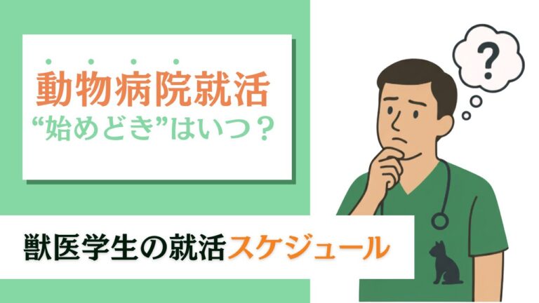 【動物病院就活】“始めどき”はいつ？獣医学生の就活スケジュール