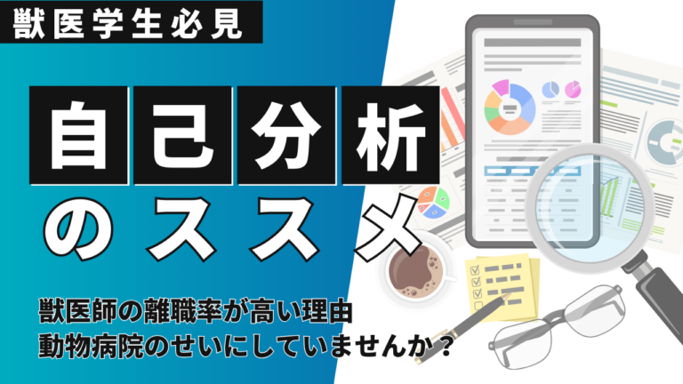 獣医学生必見！自己分析のススメ