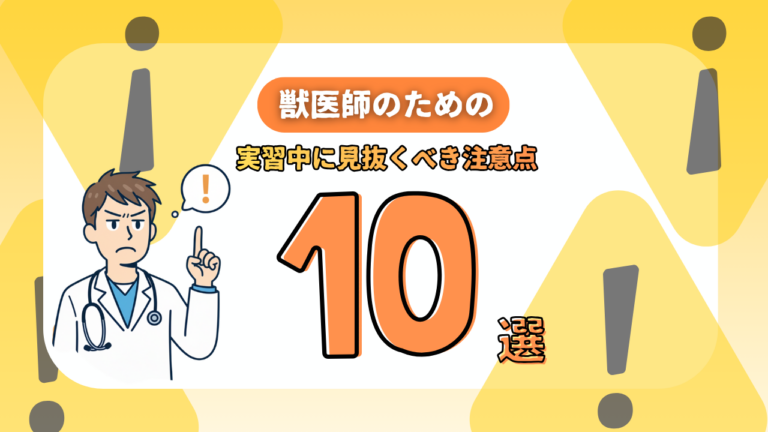 【人生の失敗回避】獣医師の就職先で後悔しない！実習中に見抜くべき動物病院の注意点10選