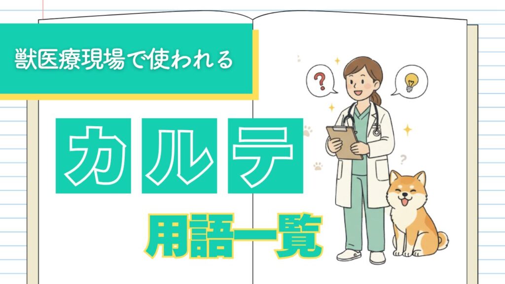 【動物病院】よく使われるカルテ用語一覧