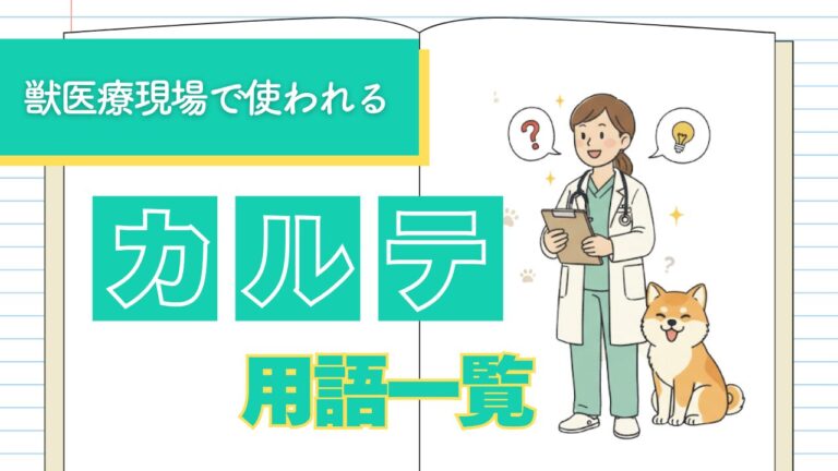 【動物病院】よく使われるカルテ用語一覧