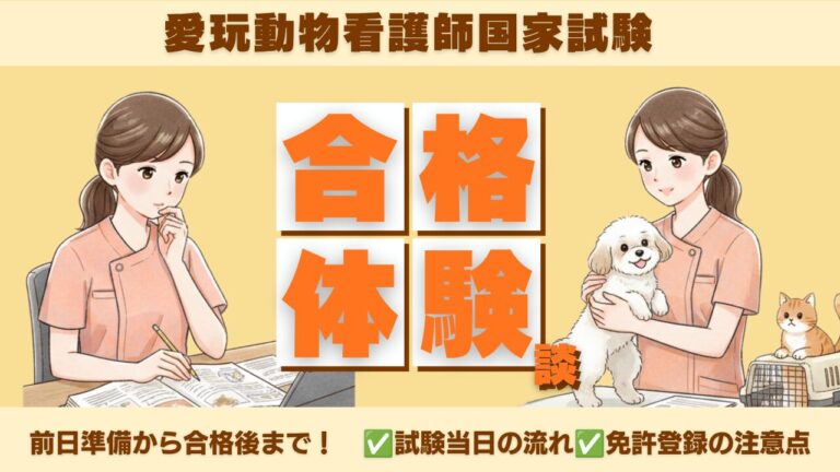【第1回合格体験談】愛玩動物看護師国家試験、前日から合格後まで！リアルな当日の流れと免許登録の注意点