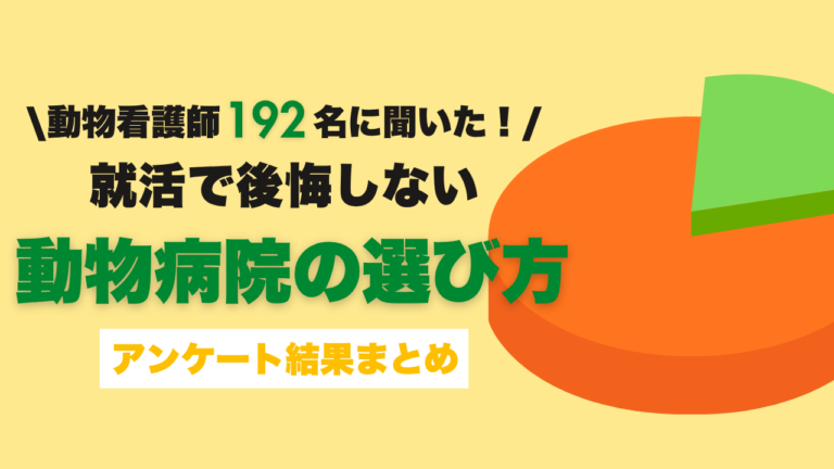 【27卒動物看護学生必見】先輩192名が本音で語る「就活で後悔しない動物病院の選び方」