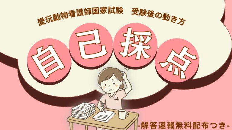 自己採点という、少し苦い儀式について。愛玩動物看護師国家試験受験後の動き方