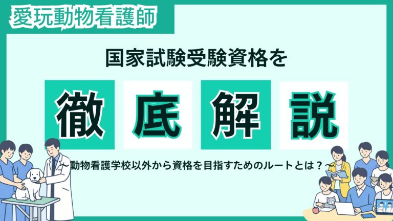 愛玩動物看護師の国家試験受験資格を徹底解説！│動物看護学校以外から資格を目指すためのルートとは？