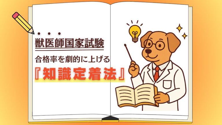 これから本格的に勉強を始めるあなたへ│獣医師国家試験合格率を劇的に上げる『知識定着法』