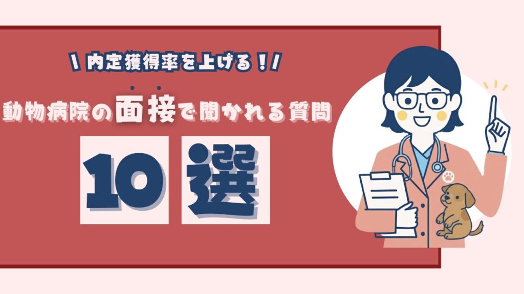 内定獲得率を上げる！動物病院の面接で必ず聞かれる質問10選